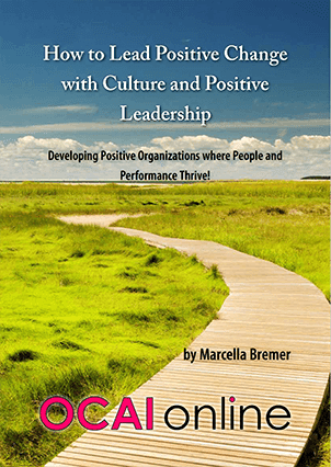 Culture Change Leadership