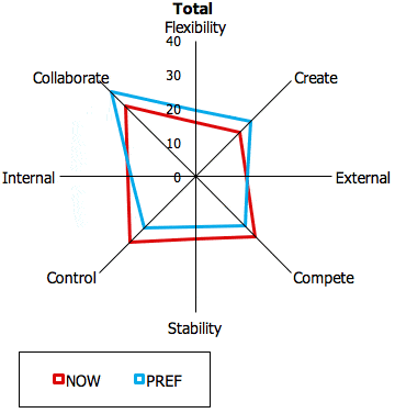 OCAI culture profile men