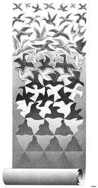 Is your start-up a successful shape-shifter