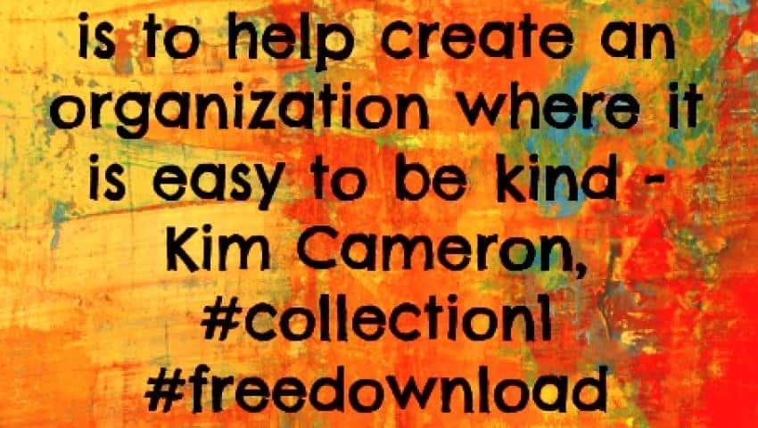 Kim Cameron on Positive Leadership