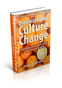 Organizational Culture Change